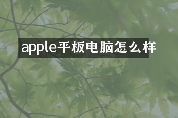 apple平板电脑怎么样