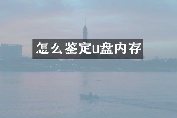 怎么鉴定u盘内存