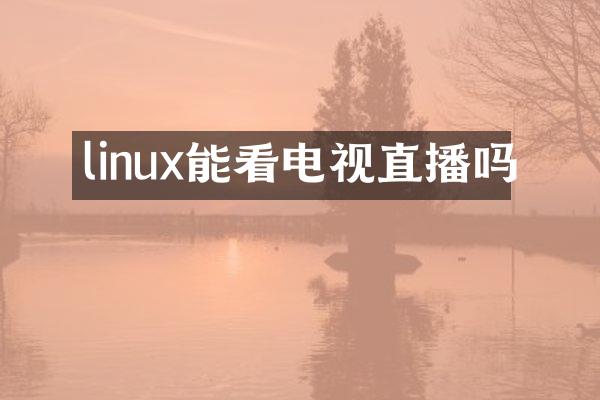 linux能看电视直播吗