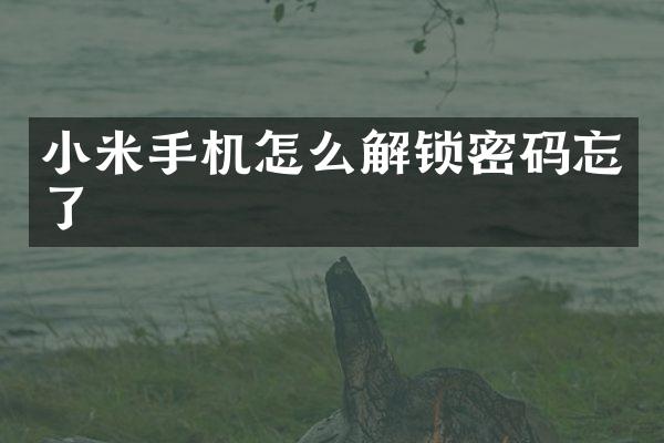 小米手机怎么解锁密码忘了