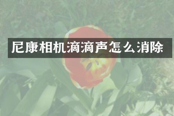 尼康相机滴滴声怎么消除