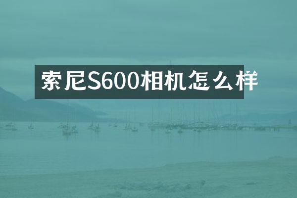 索尼S600相机怎么样