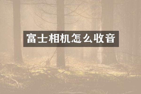 富士相机怎么收音