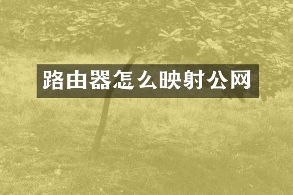 路由器怎么映射公网