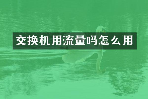 交换机用流量吗怎么用