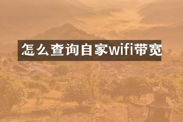 怎么查询自家wifi带宽