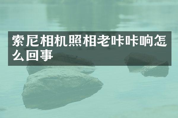 索尼相机照相老咔咔响怎么回事