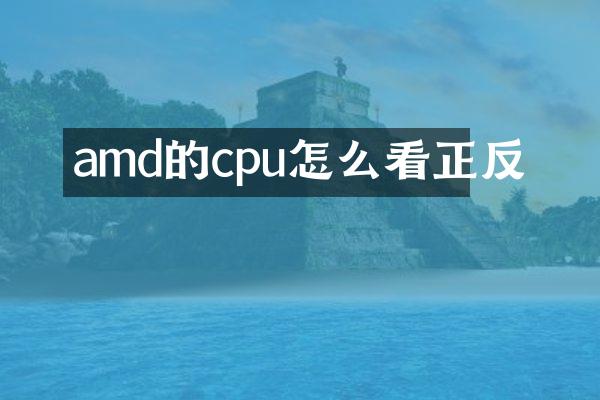 amd的cpu怎么看正反