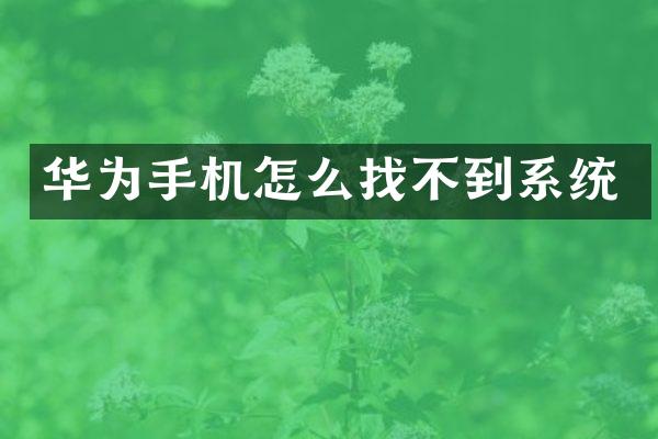 华为手机怎么找不到系统