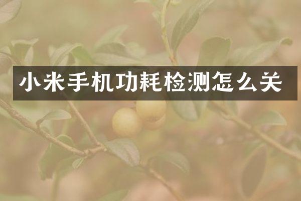 小米手机功耗检测怎么关