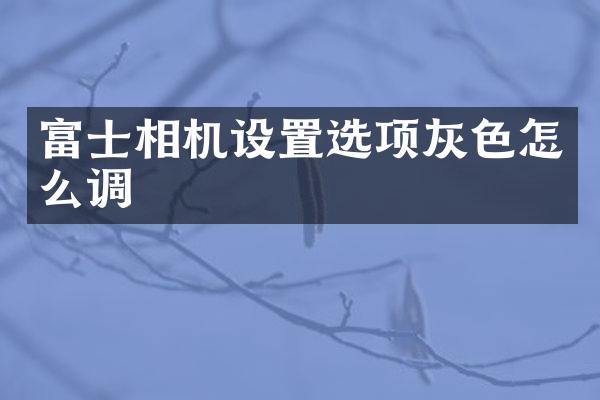 富士相机设置选项灰色怎么调