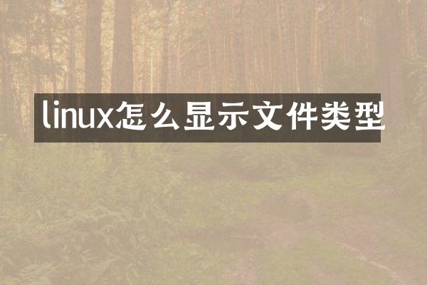 linux怎么显示文件类型