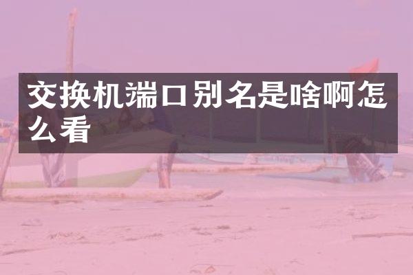 交换机端口别名是啥啊怎么看