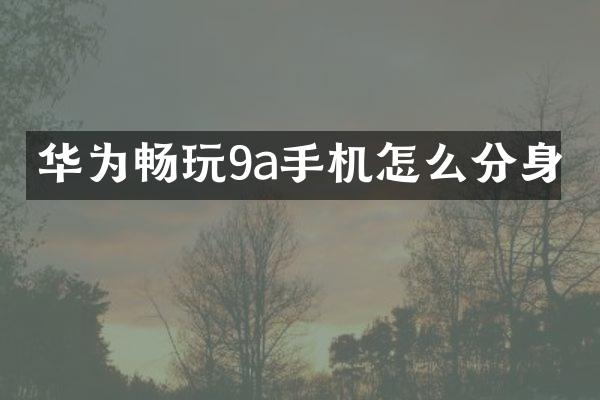 华为畅玩9a手机怎么分身