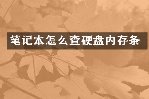 笔记本怎么查硬盘内存条