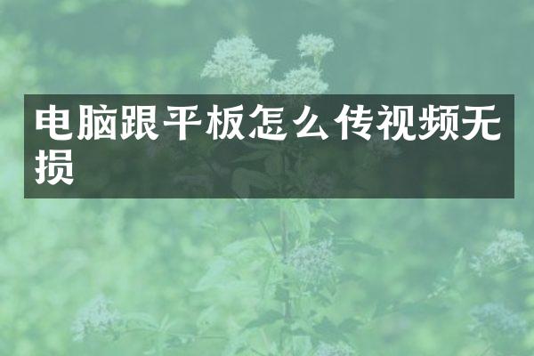 电脑跟平板怎么传视频无损
