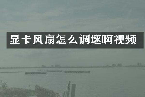 显卡风扇怎么调速啊视频
