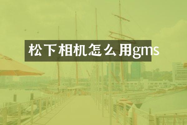 松下相机怎么用gms