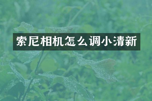 索尼相机怎么调小清新