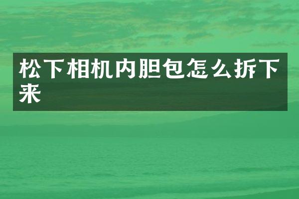 松下相机内胆包怎么拆下来