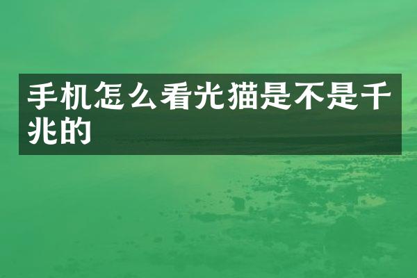 手机怎么看光猫是不是千兆的