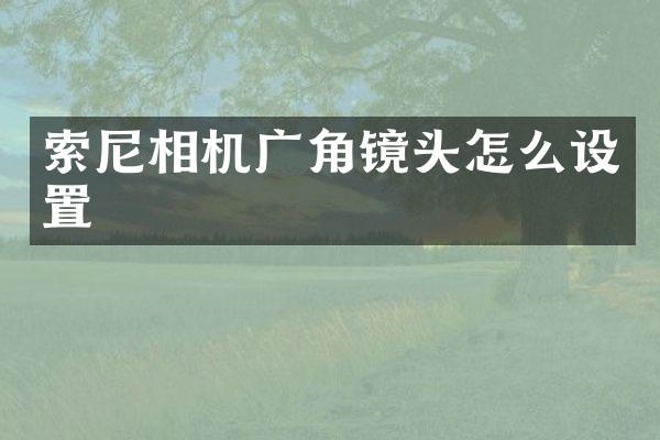索尼相机广角镜头怎么设置