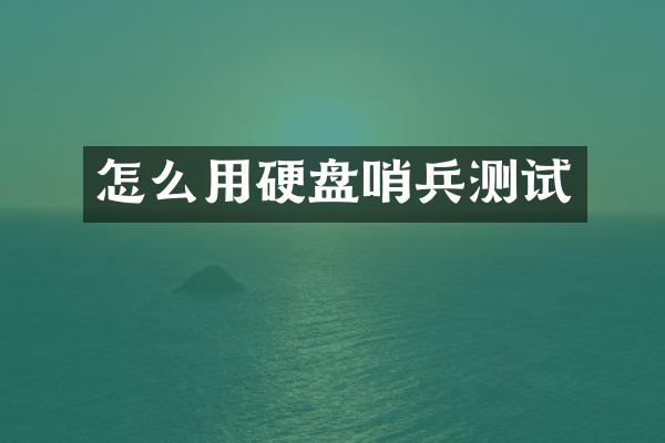 怎么用硬盘哨兵测试