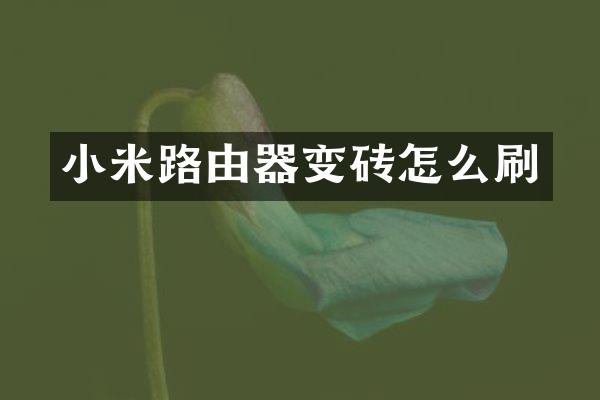 小米路由器变砖怎么刷
