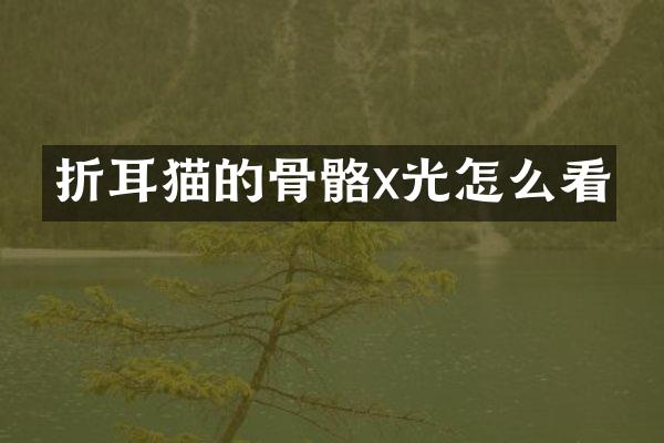 折耳猫的骨骼x光怎么看