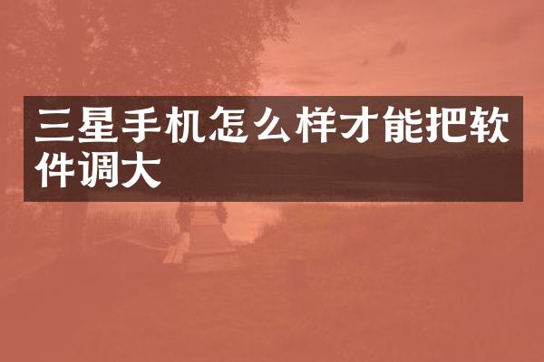 三星手机怎么样才能把软件调大