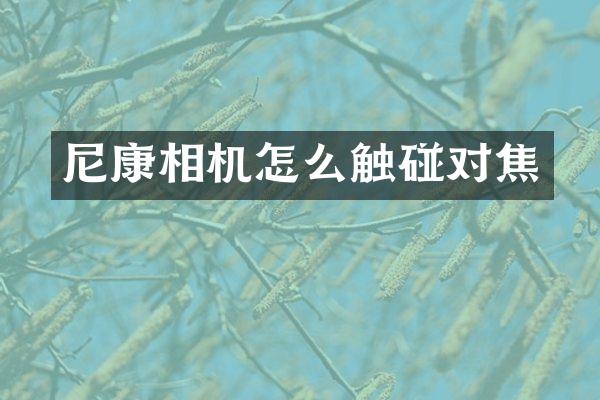 尼康相机怎么触碰对焦