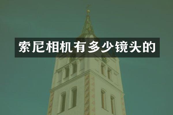 索尼相机有多少镜头的