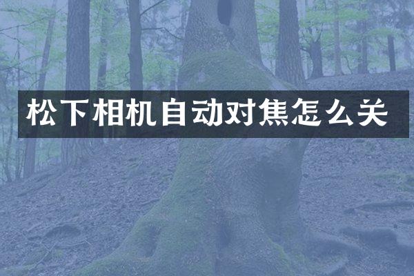 松下相机自动对焦怎么关
