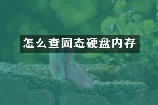 怎么查固态硬盘内存