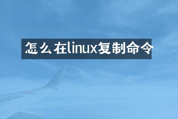 怎么在linux复制命令