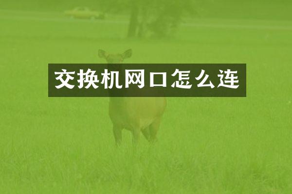 交换机网口怎么连