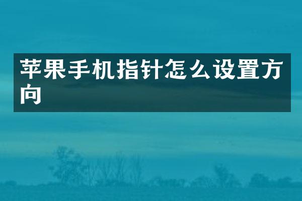 苹果手机指针怎么设置方向