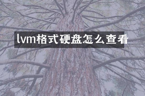 lvm格式硬盘怎么查看