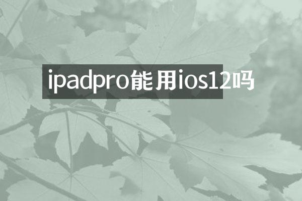 ipadpro能用ios12吗