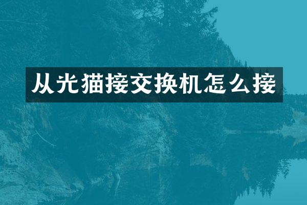 从光猫接交换机怎么接