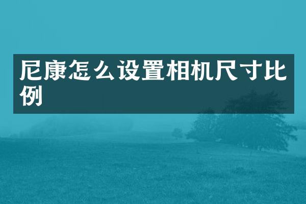 尼康怎么设置相机尺寸比例