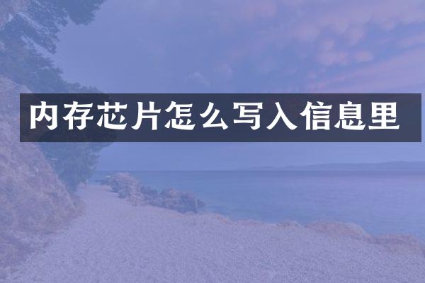 内存芯片怎么写入信息里