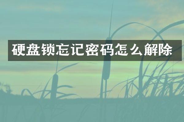 硬盘锁忘记密码怎么解除