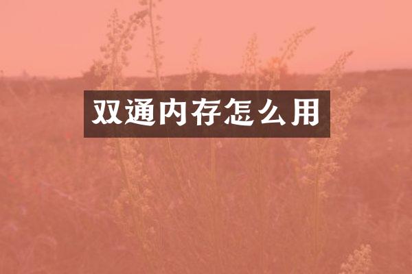 双通内存怎么用