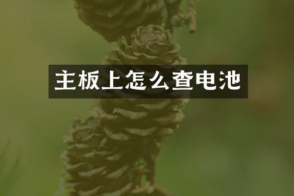 主板上怎么查电池
