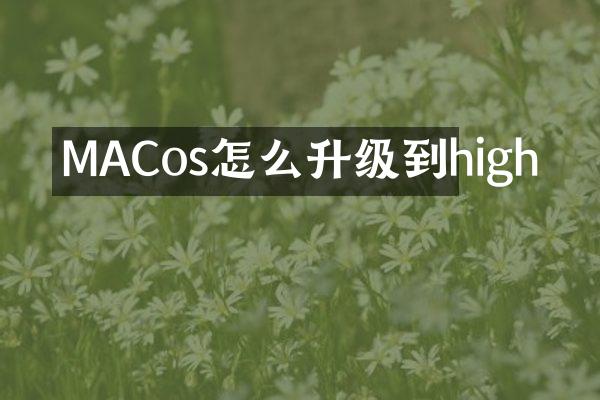 MACos怎么升级到high