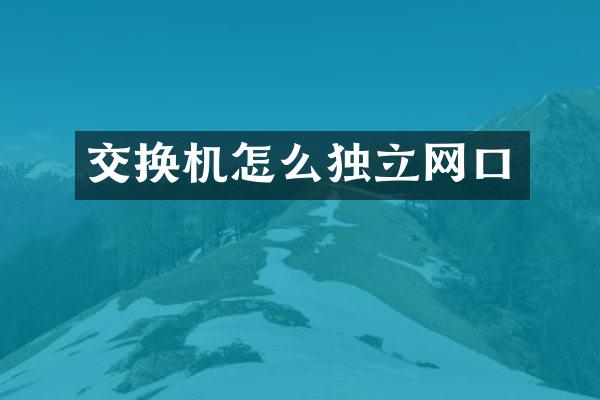 交换机怎么独立网口