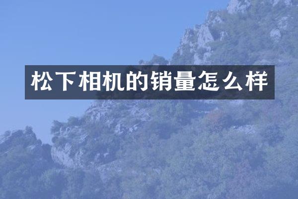 松下相机的销量怎么样