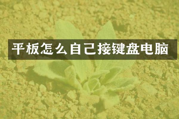 平板怎么自己接键盘电脑