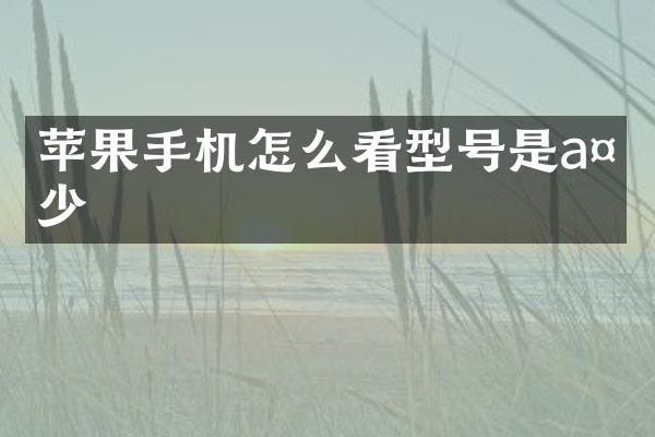 苹果手机怎么看型号是a多少